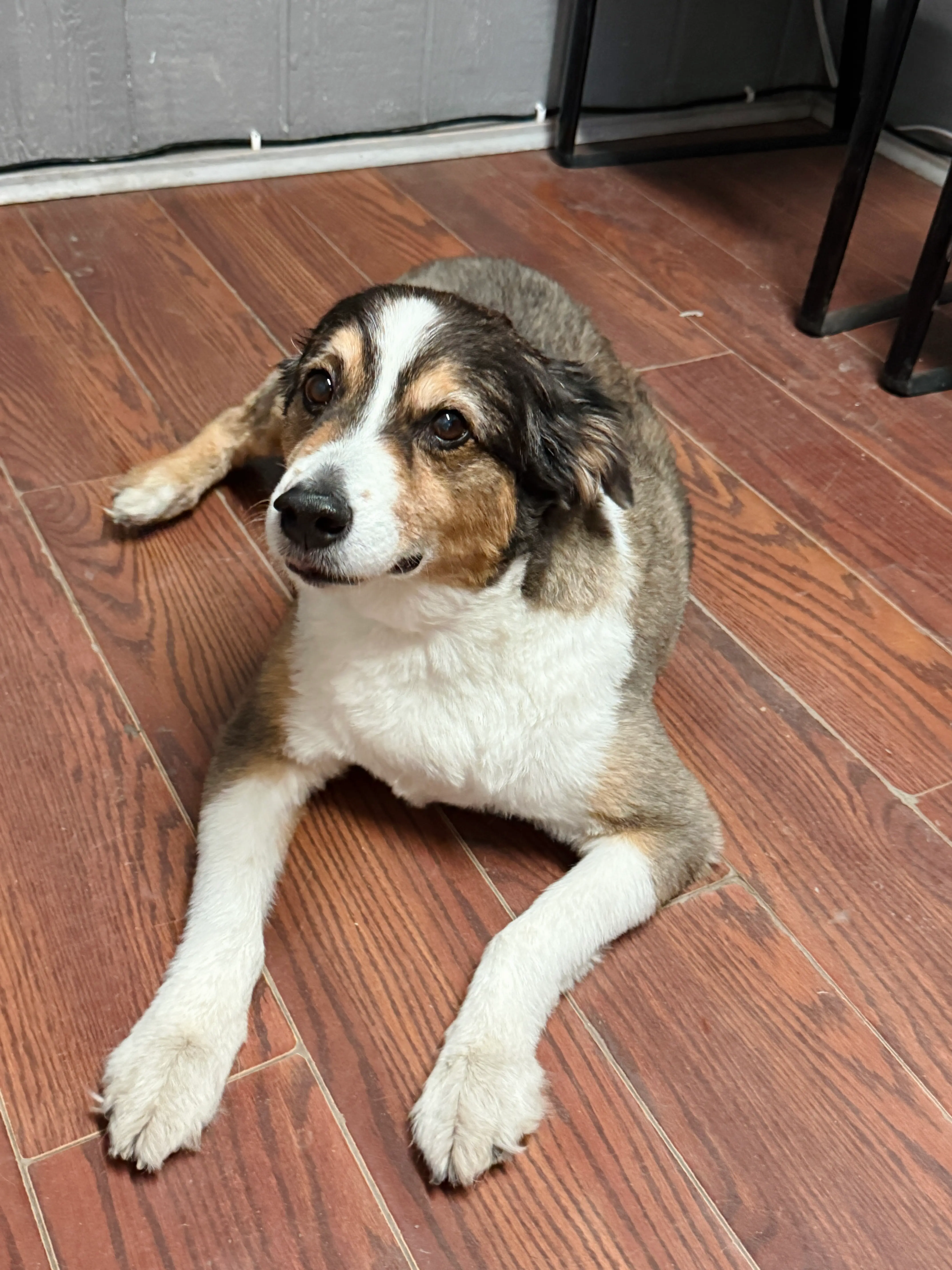 Sheila — Employee of the Month